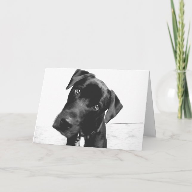 Tarjeta Hola (Anverso)