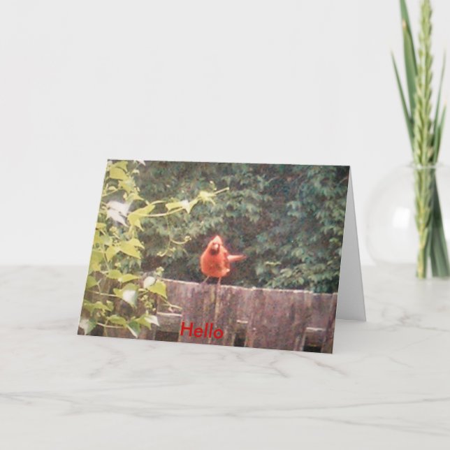 Tarjeta Hola (Anverso)