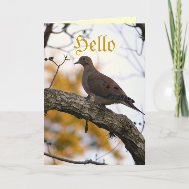 Tarjeta Hola (Anverso)