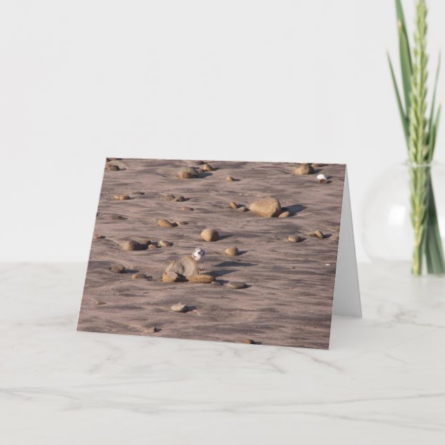 Tarjeta Hola (Anverso)