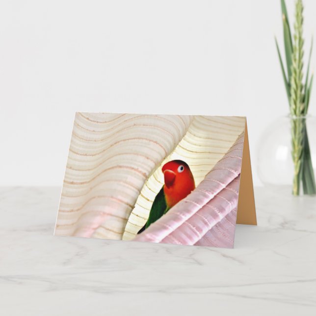 Tarjeta ¡Hola! (Anverso)