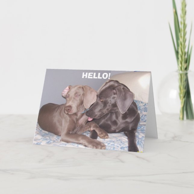 TARJETA ¡, HOLA! (Anverso)