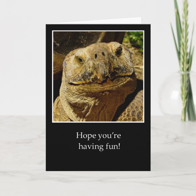 Tarjeta Hola a Camper Sonriente Turtle (Anverso)