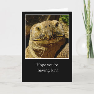 Tarjeta Hola a Camper Sonriente Turtle