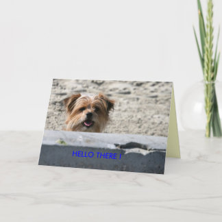 TARJETA ¡HOLA ALLÍ!