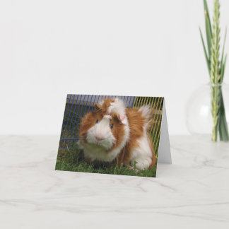 Tarjeta ¡Hola allí! (Bufón)