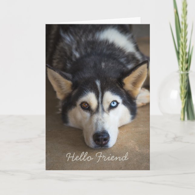 Tarjeta Hola amigo Husky Dog Saludo Personalizado (Anverso)
