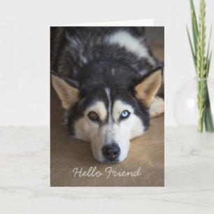 Tarjeta Hola amigo Husky Dog Saludo Personalizado
