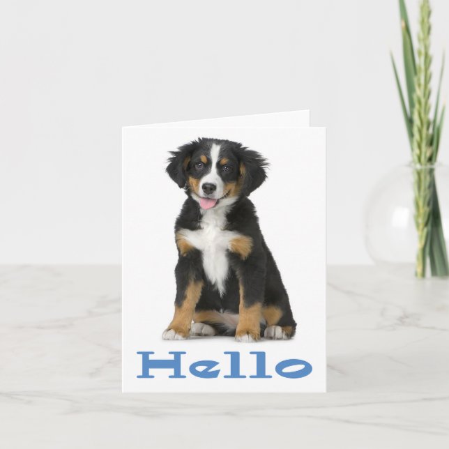 Tarjeta Hola Bernese, Perro de Montaña, Puppy Dog Note Car (Anverso)