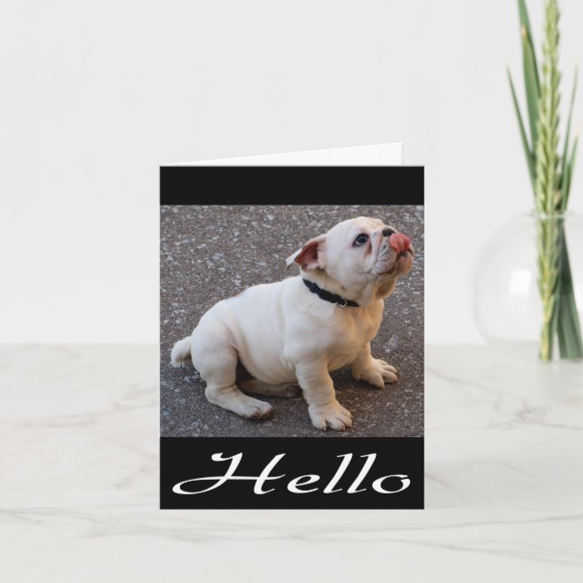 Tarjeta Hola Bulldog inglés Puppy Dog Blank Note Card (Anverso)