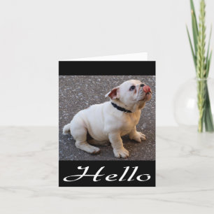 Tarjeta Hola Bulldog inglés Puppy Dog Blank Note Card
