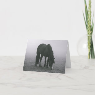 Tarjeta Hola Caballo Ecuestre Occidental Miss Usted Amor
