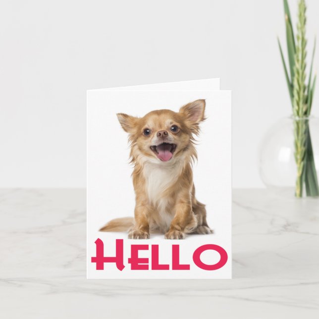 Tarjeta Hola Chihuahua Perro Cachorro Blank Notecard (Anverso)
