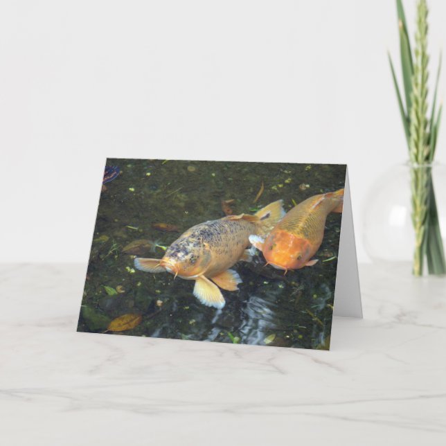 Tarjeta Hola cumpleaños de Koi (Anverso)