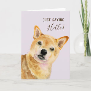 Tarjeta ¡Hola   Cute Shiba Inu Dog