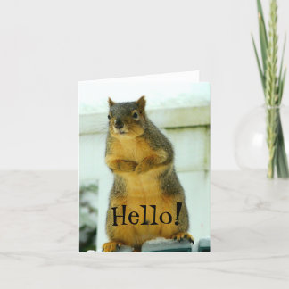 Tarjeta Hola de Squirrel