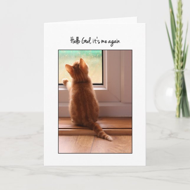 Tarjeta Hola Dios, soy yo de nuevo kitten Blank dentro (Anverso)