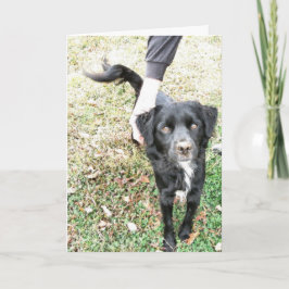 Tarjeta Hola Doggy Card