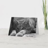 ¡Hola! ¡Este gato viene a desear un cumpleaños fel