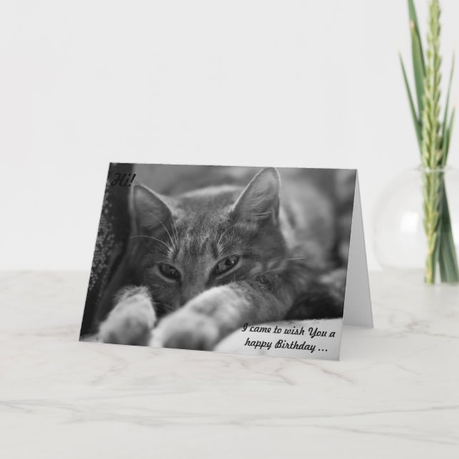 Tarjeta ¡Hola! ¡Este gato viene a desear un cumpleaños fel (Anverso)