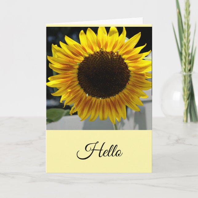 Tarjeta Hola Girasol (Anverso)