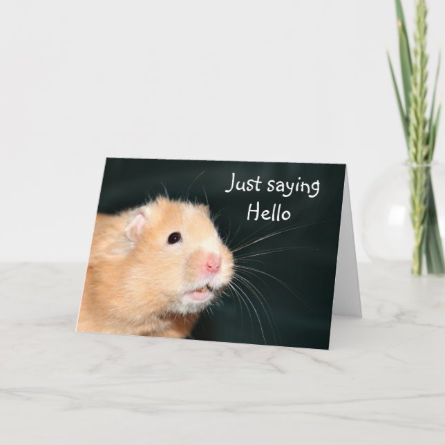 Tarjeta Hola Hamster (Anverso)