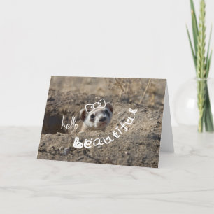 Tarjeta Hola Hermoso