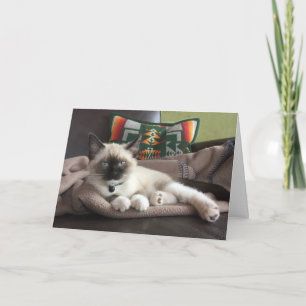 Tarjeta Hola Hermoso Gatito Siamés Pensando En Ti