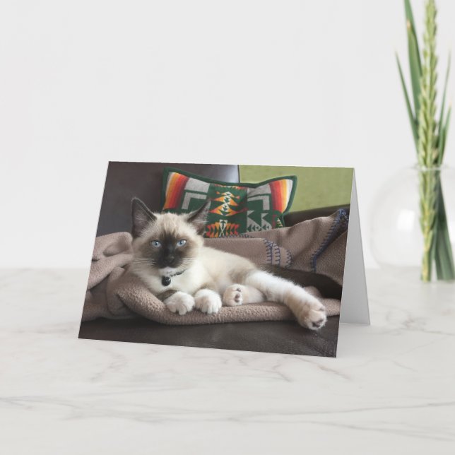 Tarjeta Hola Hermoso Gatito Siamés Pensando En Ti (Anverso)