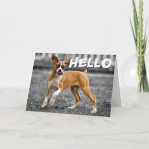 Tarjeta Hola / Hola Boxer Perro Cachorro - Amistad, Te Ext
