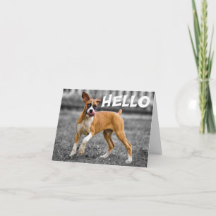 Tarjeta Hola / Hola Cachorro Boxer - Verso