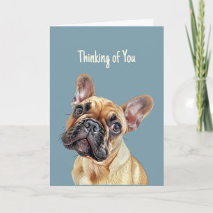 Tarjeta Hola, hola, pensando en ti, dulce perro Bulldog fr