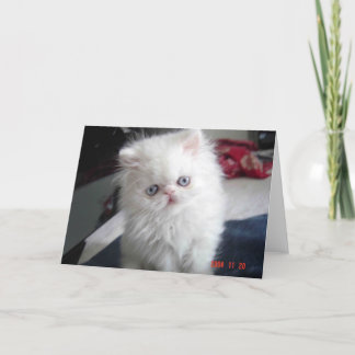 TARJETA ¡HOLA KITTY!