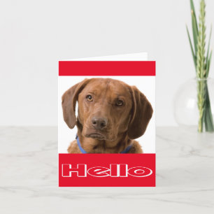 Tarjeta Hola Labrador Recuperador Puppy Dog Note Card