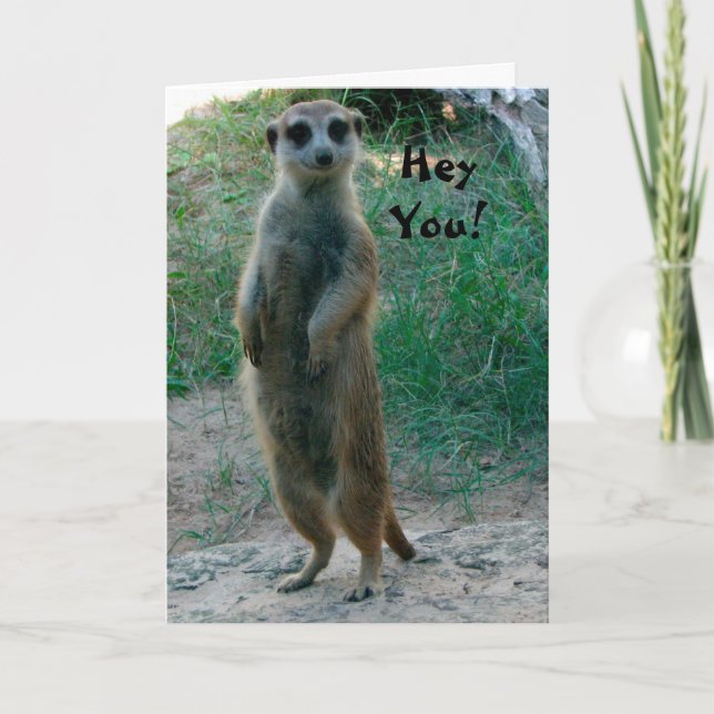 Tarjeta Hola, Meerkat Birthday Card (Anverso)