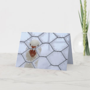 Tarjeta ¡Hola! Navidades laicos de la valla helada