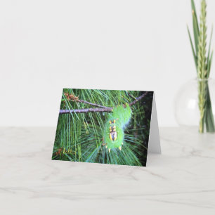 Tarjeta hola notecard de la oruga