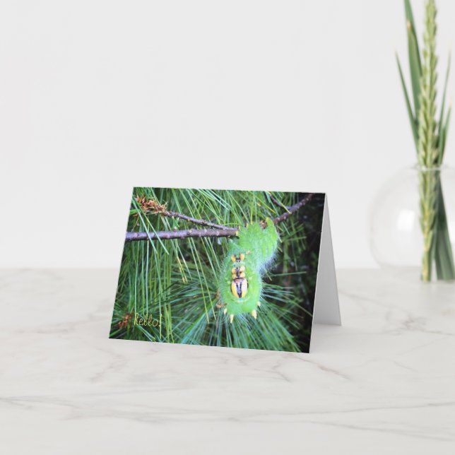 Tarjeta hola notecard de la oruga (Anverso)