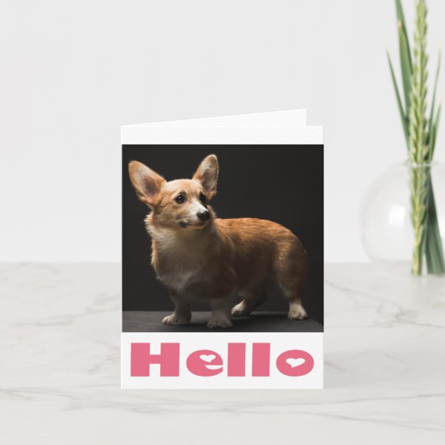Tarjeta Hola Pembroke Corgi Puppy Dog Blank Note Card (Anverso)