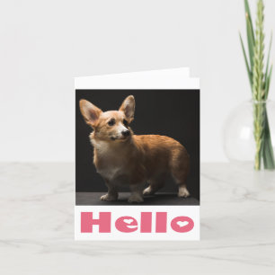 Tarjeta Hola Pembroke Corgi Puppy Dog Blank Note Card