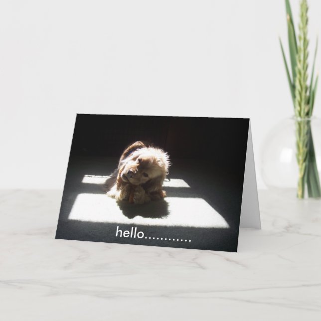 TARJETA HOLA, PENSANDO EN TÚ AMIGOS O FAMILIA (Anverso)