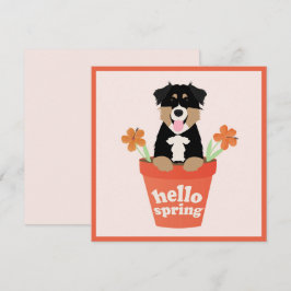 Tarjeta Hola Primavera Pastor Australiano Perro en maceta 