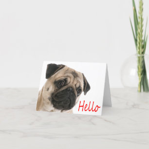 Tarjeta Hola Pug Puppy Dog Blank Note Card