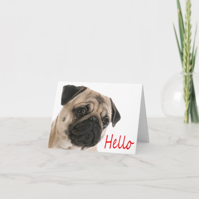 Tarjeta Hola Pug Puppy Dog Blank Note Card (Anverso)