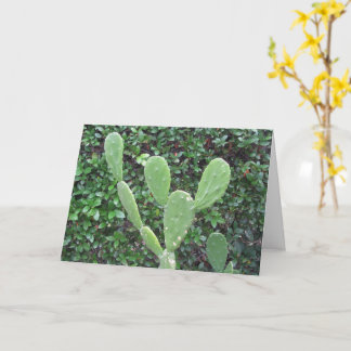 Tarjeta "¡Hola!" ¿Saludos de un lindo Cactus o ratón?