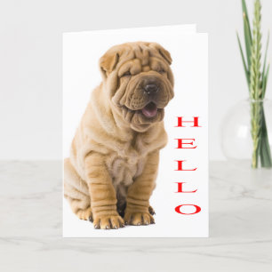 Tarjeta Hola Shar Pei Perro cachorro en blanco