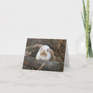 Tarjeta Holanda Lop Notecard