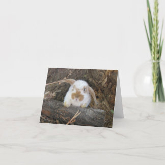 Tarjeta Holanda Lop Notecard