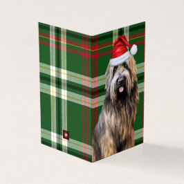 Tarjeta Holiday Briard Shepherd Dog Green Plaid Navidades