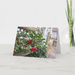 Tarjeta Holly Berries y Fence - Viñedo de Martha